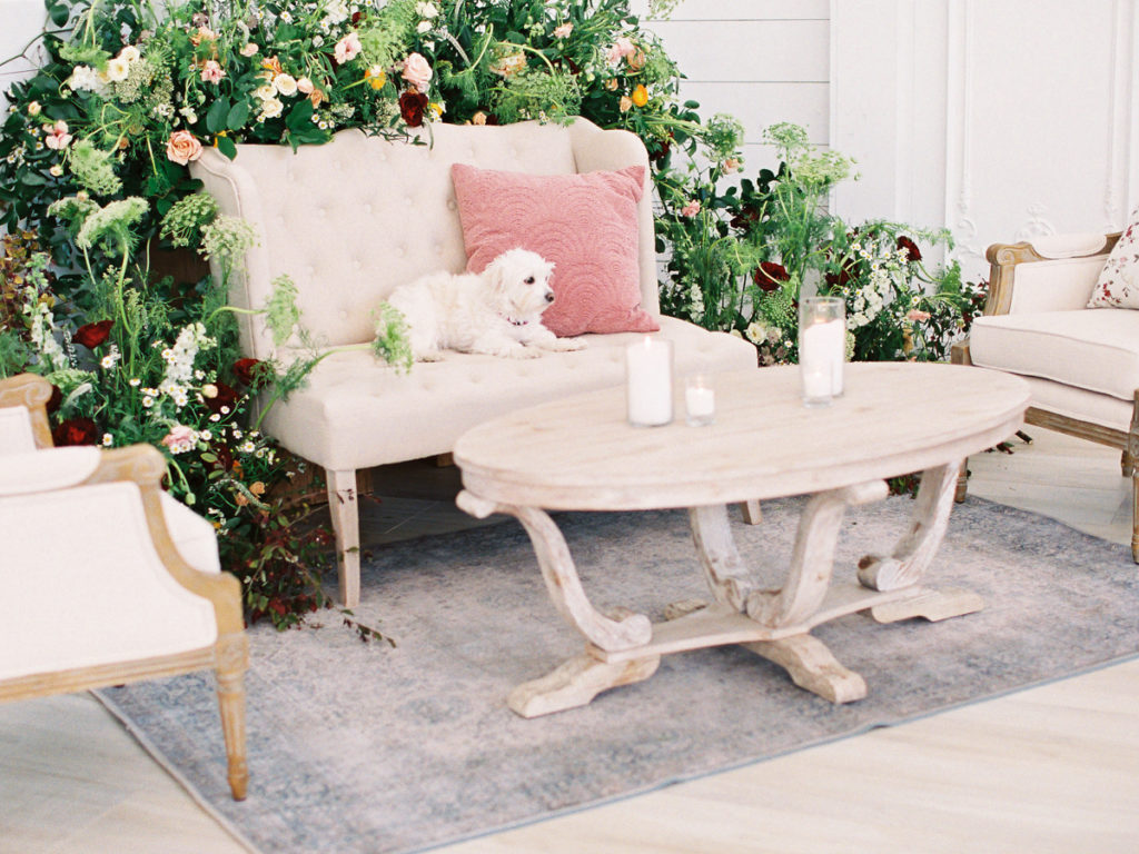 White dog on wedding reception seating with organic florals